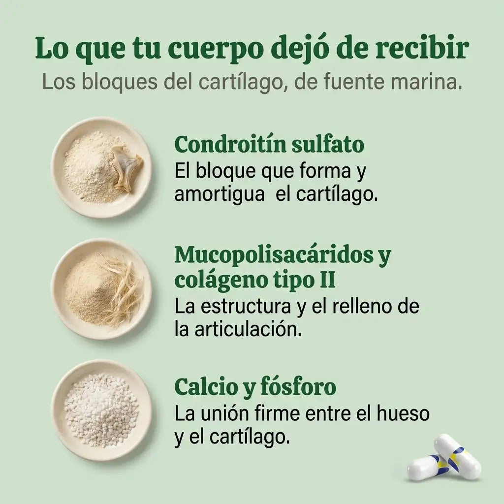 Cartílago de Tiburón Natural Medix 500 mg · 30 cápsulas